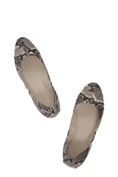  Shoes Flats on Pied A Terre Shoes    Pied A Terre Snake Skin Flats  By Cameleon